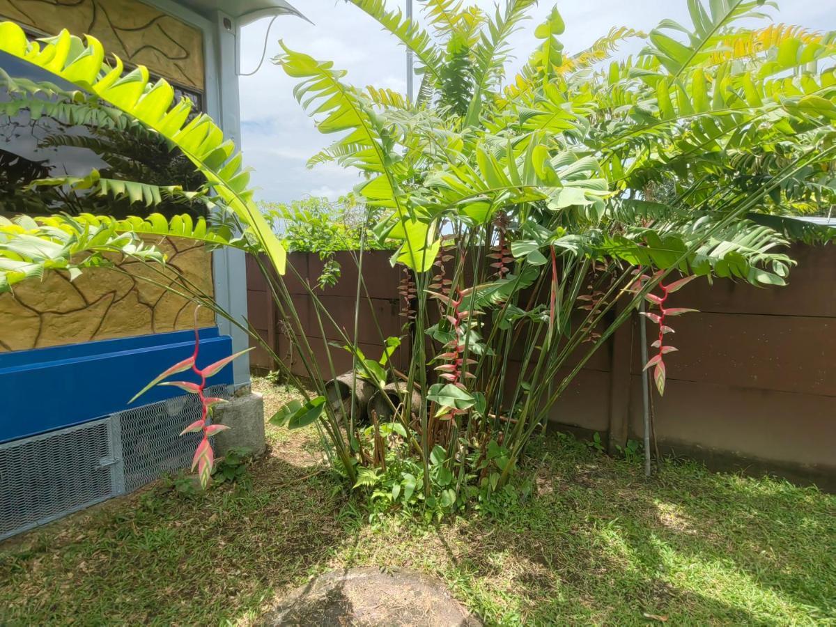Arenal Homes La Fortuna Kültér fotó