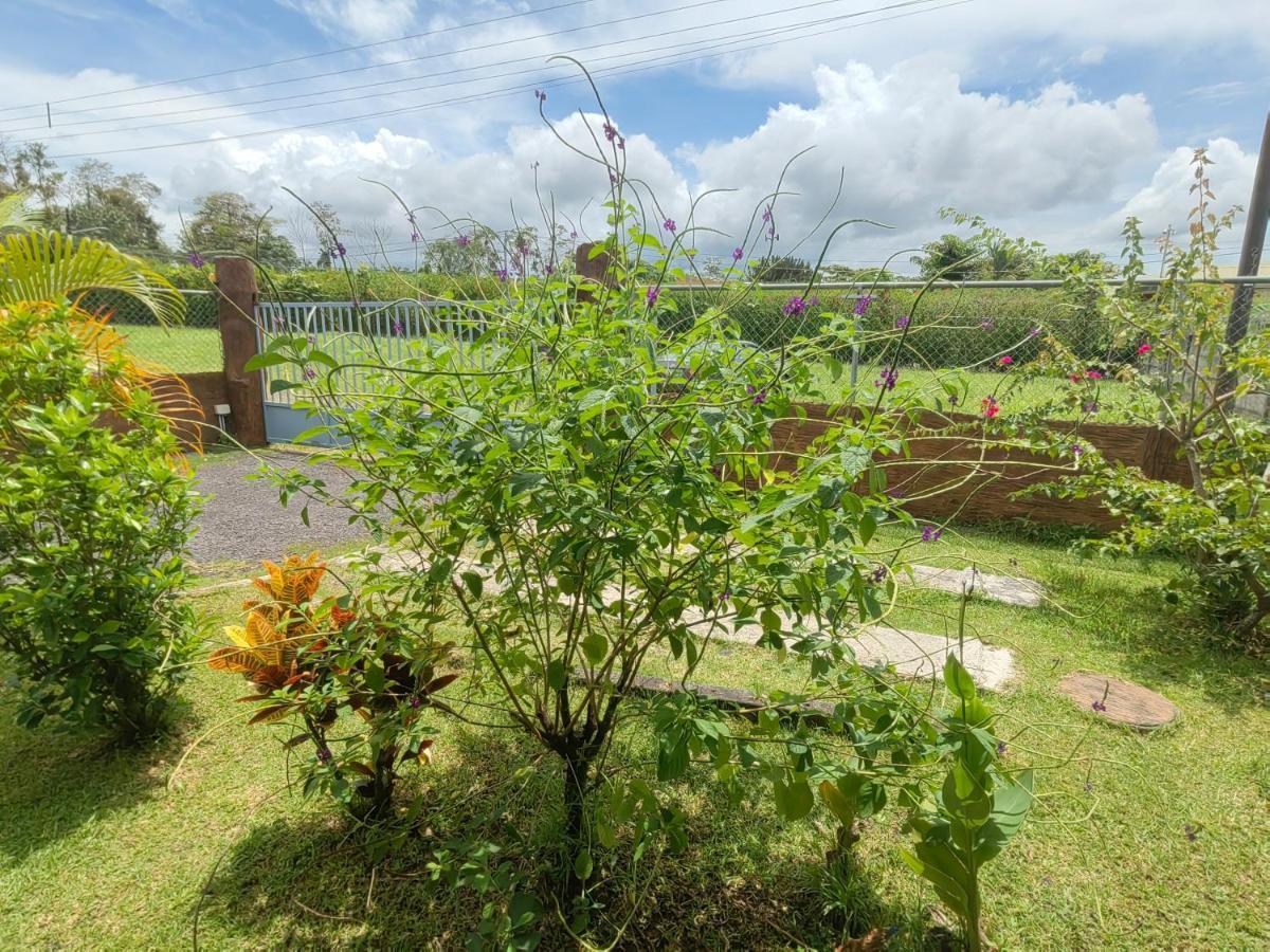 Arenal Homes La Fortuna Kültér fotó